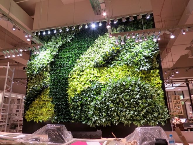 Dubai West Elm Green Wall, Dubai West Elm, Green Wall, living wall, vertical garden, green wall, plant wall