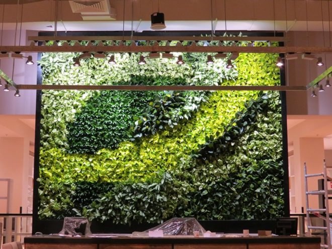 Dubai West Elm Green Wall, Dubai West Elm, Green Wall, living wall, vertical garden, green wall, plant wall