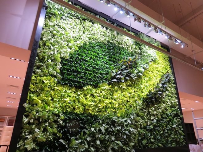 Dubai West Elm Green Wall, Dubai West Elm, Green Wall, living wall, vertical garden, green wall, plant wall