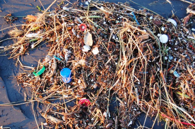 green design, eco design, sustainable design, Great Pacific Garbage patch, Polluted Great lakes, Plastic pollution Lake Erie, Lorena M. Rios Mendoza, American Chemical Society