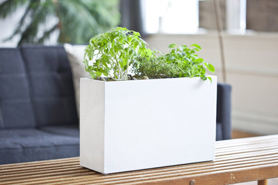Modern Sprout, Hydroponic Planter, Windowsill planter, hydroponic windowsill planter, green gardening, gardening products, urban gardening