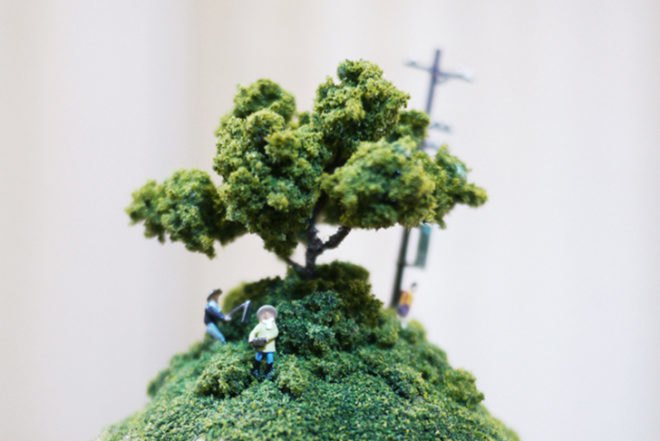 Maico Akiba, animals, migration, tiny sculptures, Animals, Art, green art, sustainable art, sekai, eco art