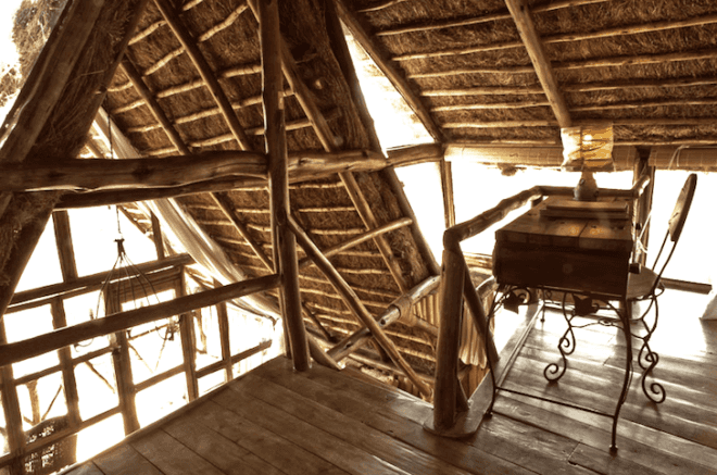 Out of Africa, Ngong House, Nairobi, Kenya, Meryl Streep, treehouses, eco-luxe, safari destination, nairobi national park, giraffes, Rothschild giraffe, upcycling, natural materials, bespoke tree house, luxury tree house, boutique hotel,