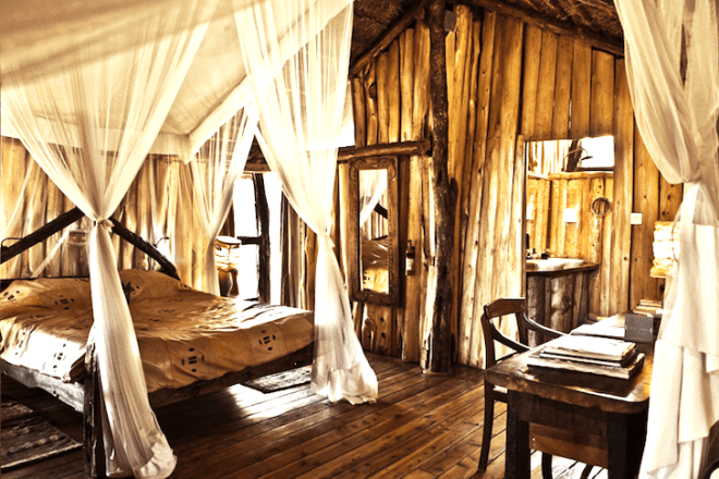 Out of Africa, Ngong House, Nairobi, Kenya, Meryl Streep, treehouses, eco-luxe, safari destination, nairobi national park, giraffes, Rothschild giraffe, upcycling, natural materials, bespoke tree house, luxury tree house, boutique hotel,