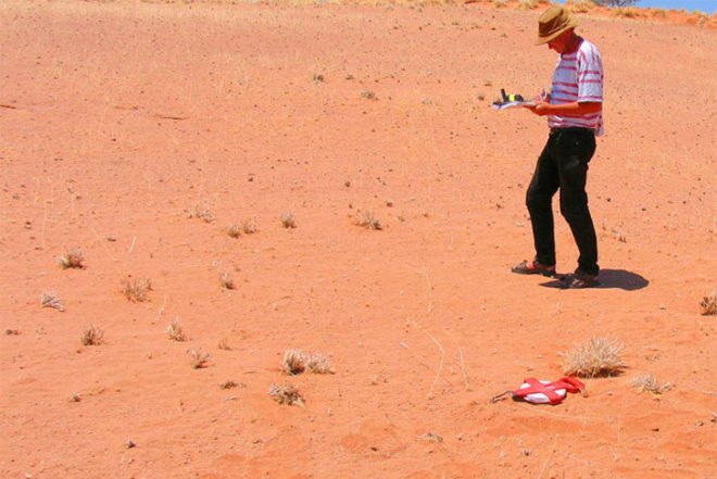 Norbert Juergens, Fairy Circles, Namib Desert, africa, sand termites, Psammotermes allocerus, circles, Animals, Botanical
