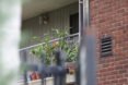 Urban balcony garden, garden, urban garden, patio garden, balcony garden, urban food production, urban garden, patio, tomatoes, herbs, vegetables, trellis, companion planting