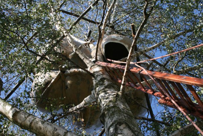 Roel de Boer, dutch design, pod, treehouse, city of trees, recycled cardboard, Architecture, Tiny Homes, Treehouses, Botanical,