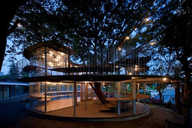 Tetzuka Architects, classroom, japan, japanese design, Fuji Kindergarten, natural light, around a tree, Zelkova tree, Air quality, Architecture, Daylighting, Botanical,
