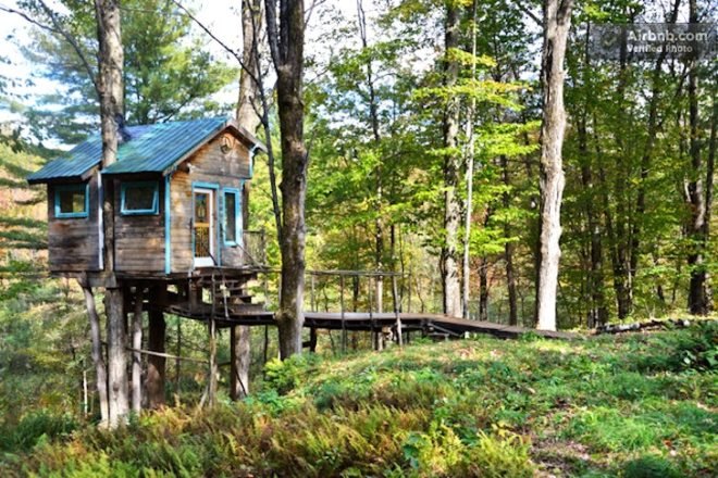 Fern Forest Treehouse, AirBnB, treehouse, treetop, arboreal, tiny houses, small spaces, travel, eco-tourism, lincoln, vermonth, green design, sustainable design, eco-design