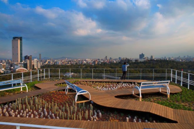 Transformada Ciel, Foro Ciel, rooftop renovation, rooftop garden, AGENT, green roof, co-working space, Rojkind Arquitectos