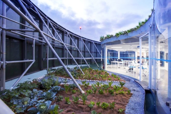 Transformada Ciel, Foro Ciel, rooftop renovation, rooftop garden, AGENT, green roof, co-working space, Rojkind Arquitectos