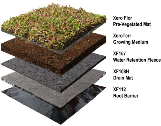 cooling costs, green roofs, moss vegetation, sedum, con edison, columbia university, green roofs nyc, joe lenuso, storm water, wastewater, nyc sewage system, nyc sewer system, energy conservation, morningside heights