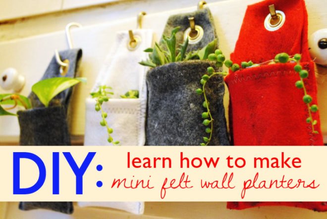 DIY, plant, hanging, wall, interior, green, how-to, felt, succulent, office, greenery, planter