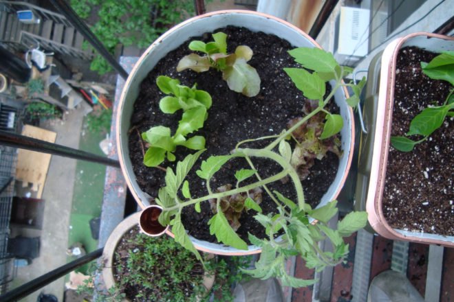earth day, conservation, nature, hiking, recycling, gardening, solar chargers, solar power, alternative transportation, collaborative consumption, e-waste,