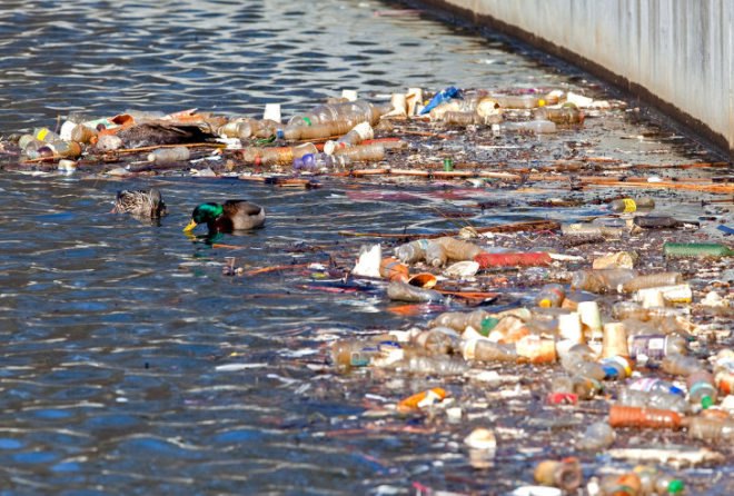 green design, eco design, sustainable design, Great Pacific Garbage patch, Polluted Great lakes, Plastic pollution Lake Erie, Lorena M. Rios Mendoza, American Chemical Society