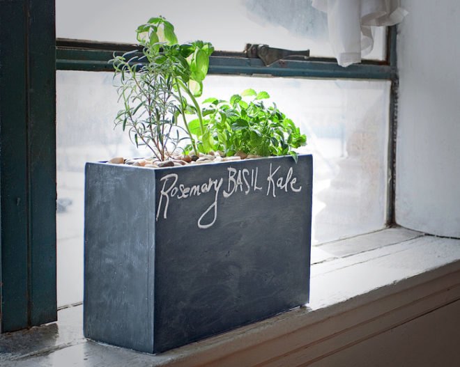 Modern Sprout, Hydroponic Planter, Windowsill planter, hydroponic windowsill planter, green gardening, gardening products, urban gardening