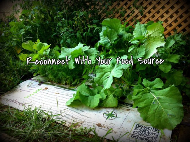 Nourishmat, Earth Starter, sustainable design, green design, gardening, edible garden, botanical, urban farm, drip irrigation, weed barrier, easy gardening, gardening aid