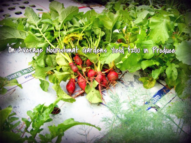Nourishmat, Earth Starter, sustainable design, green design, gardening, edible garden, botanical, urban farm, drip irrigation, weed barrier, easy gardening, gardening aid