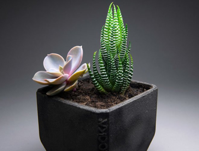pothra, recycled coffee, coffee, coffee grounds, recycled materials, recycled pot, recycled planter, coffee planter, green housewares, green interiors, green gardening, sustainable design, green design