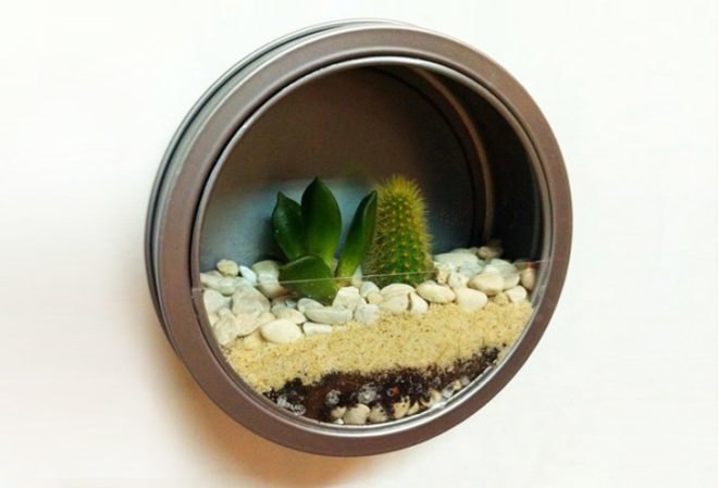 Magnetic Wall Terrarium, diy, earth day diy, earth day, do it yourself, crafts, earth day crafts, make it yourself, green design, eco design, sustainable design, recycled design, recycled crafts