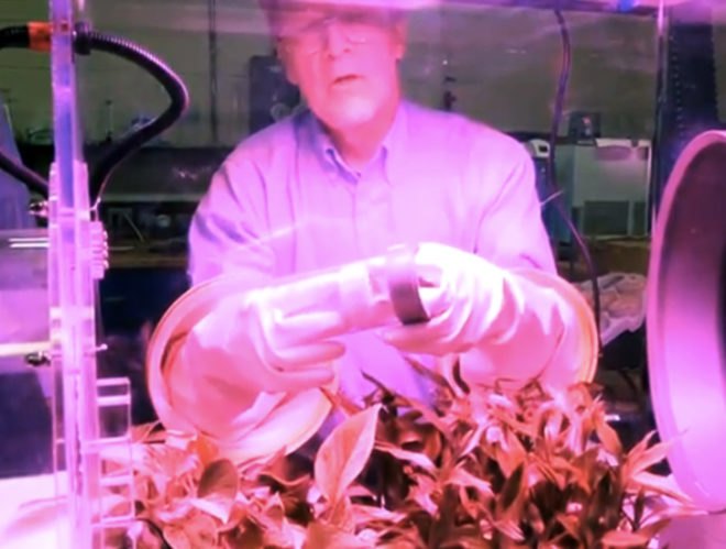 green design, eco design, sustainable design, carbon emissions, Columbia University Mudd Building, Klaus Lackner, carbon dioxide sucking plastic resin, artificial trees, greenhouse gas