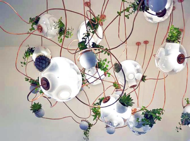 bocci 38 collection, omer arbel, green lighting, sustainable design, green design, terrarium, lamp, energy-efficient lighting, pendant light, gardening, container garden, green interiors euroluce, milan design week, milan furniture fair, salone milan