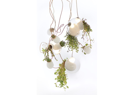 bocci 38 collection, omer arbel, green lighting, sustainable design, green design, terrarium, lamp, energy-efficient lighting, pendant light, gardening, container garden, green interiors euroluce, milan design week, milan furniture fair, salone milan