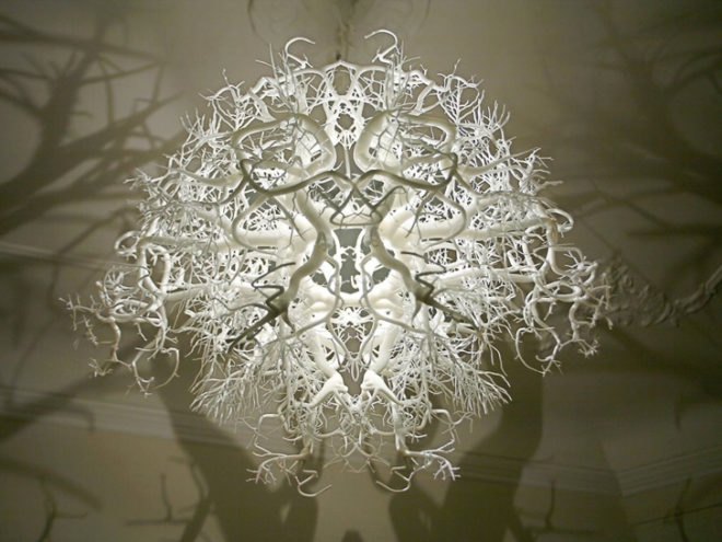 Forms in Nature Chandelier, Hilden&Diaz, biomimetic design, chandelier design, biomimetic chandelier, Rorschach chandelier, lighting design, green lighting, shadow projection
