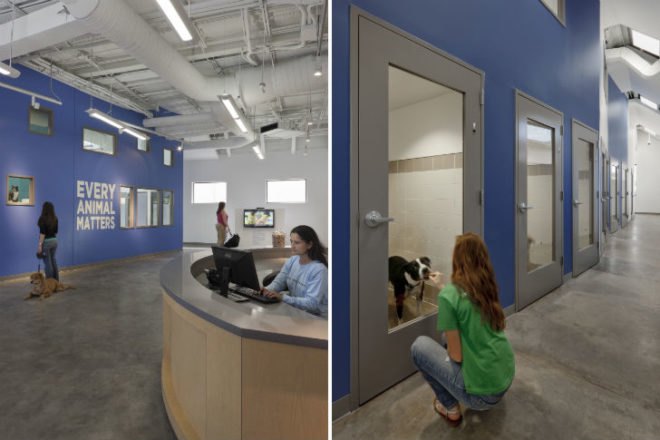 Friends For Life, Gensler, don sanders adoption center, animal shelter, leed certified animal shelter, no kill shelter, houston