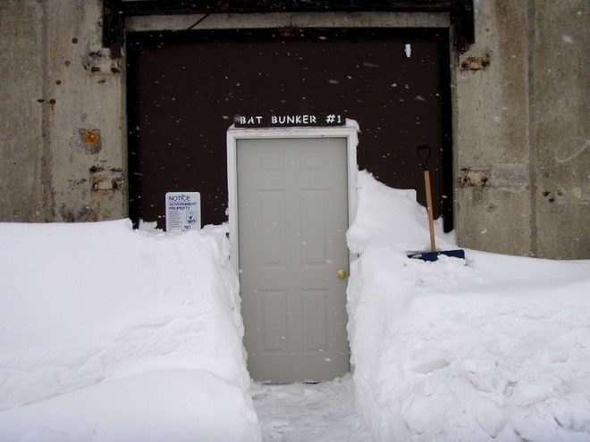 White-Nose Syndrome, Northern Maine Aroostook National Wildlife Refuge, cold war bunkers, grass-covered bunkers, artificial caves, hibernacula for bats, Loring Air Force Base, US Fish and Wildlife Service, adaptive reuse, news, environment, bats