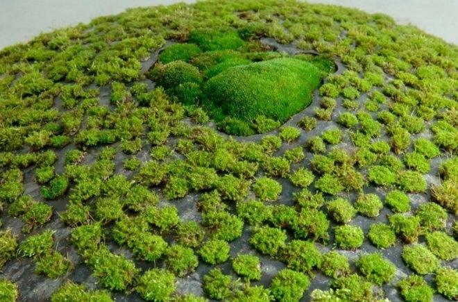 Mineo Mizuno, Mineo Mizuno Coexistence, moss sculptures, green art, green sculptures, ceramic sculptures, Japanese designers, Japanese landscape art, pebble art, art horticulture