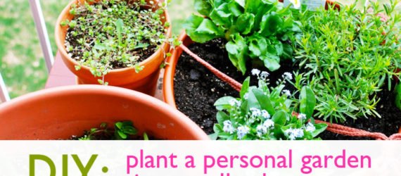 Pots of herbs on a patio, garden, urban garden, patio garden, balcony garden, urban food production, urban garden, patio, tomatoes, herbs, vegetables, trellis, companion planting