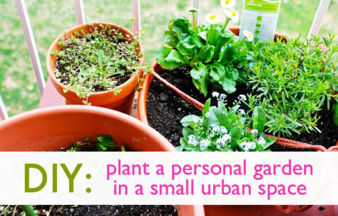 Pots of herbs on a patio, garden, urban garden, patio garden, balcony garden, urban food production, urban garden, patio, tomatoes, herbs, vegetables, trellis, companion planting