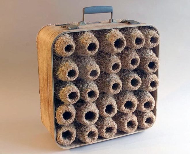 green design, eco design, sustainable design, Robert Lach, Nest Colonies, Recycled art, eco art, recycled suitcases