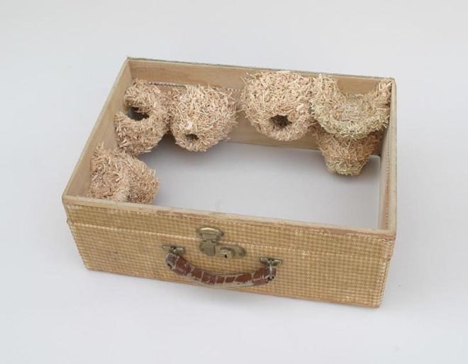 green design, eco design, sustainable design, Robert Lach, Nest Colonies, Recycled art, eco art, recycled suitcases