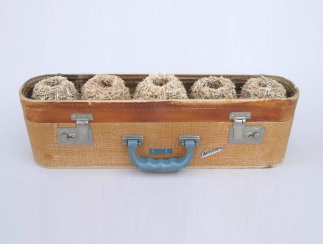 green design, eco design, sustainable design, Robert Lach, Nest Colonies, Recycled art, eco art, recycled suitcases