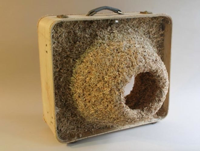 green design, eco design, sustainable design, Robert Lach, Nest Colonies, Recycled art, eco art, recycled suitcases