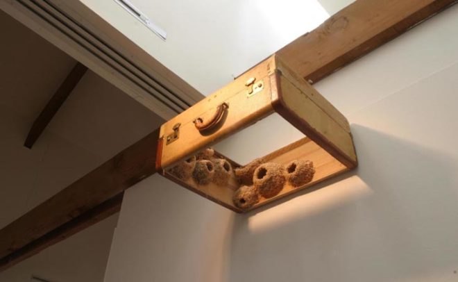 green design, eco design, sustainable design, Robert Lach, Nest Colonies, Recycled art, eco art, recycled suitcases