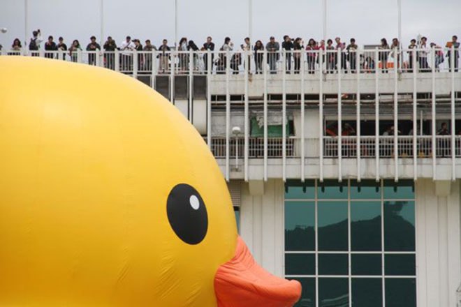 green design, eco design, sustainable design, Florentijn Hofman, giant inflatable rubber duck, Rubber duck Hong Kong