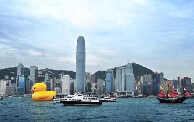 green design, eco design, sustainable design, Florentijn Hofman, giant inflatable rubber duck, Rubber duck Hong Kong