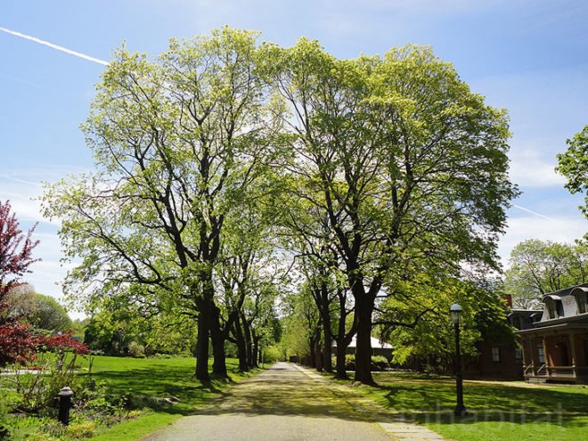 green design, eco design, sustainable design, Snug Harbor, Staten Island, Snug Harbor Cultural Center, botanical gardens New York, Landmarked buildings New York