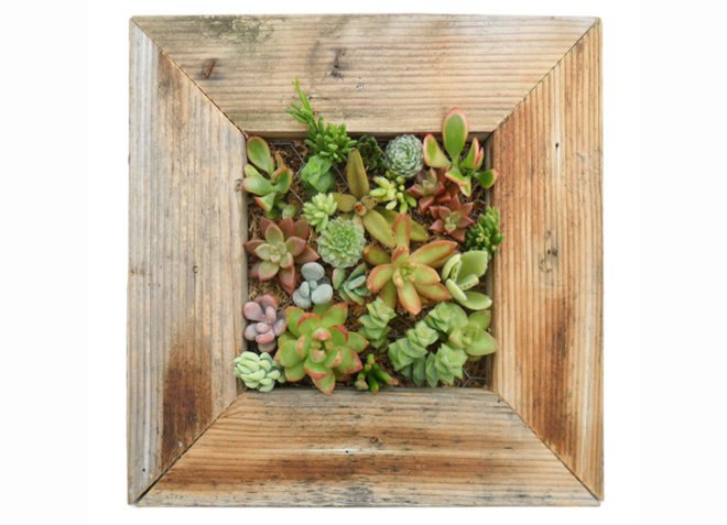 11 eco-tastic gifts for mother's day, Mother's Day, green gifts, green holidays, green gift guide, lotions, eco-gifts, sustainable gifts, fair trade gifts, natural materials, eco-jewelry, upcycled gifts, recycled gifts, recycled materials, handmade gifts, Novica, VivaTerra, Indigenous, South America, Trinity Wooden Cuff, Succulent Wall Planter Kit, Airplane Wrap, Recycled Glass Balloon Vase, Buddha Belly Tea Kettle, Diamond Hobo Bag, Chrysocolla Cocktail "Hug" Ring, Forest Pool Necklace, Organic Aromatherapy Body Soap, organic soap, organic lotions, organic ingredients, Redwood Forest bonsai kit, Orchid-infused lotion, Piper Tate
