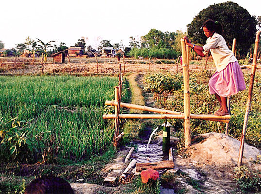 SunWater, Solar Water Pump, International Development Enterprises, Indiegogo projects, water pump for irrigation, irrigation for poor areas, irrigation for poor farmers, third world irrigation, solar power technology, solar power applications, green energy ideas, green power