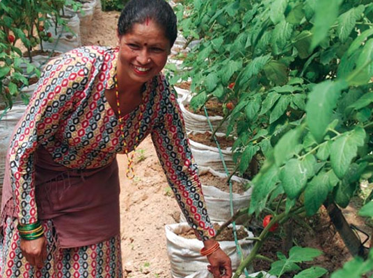 SunWater, Solar Water Pump, International Development Enterprises, Indiegogo projects, water pump for irrigation, irrigation for poor areas, irrigation for poor farmers, third world irrigation, solar power technology, solar power applications, green energy ideas, green power