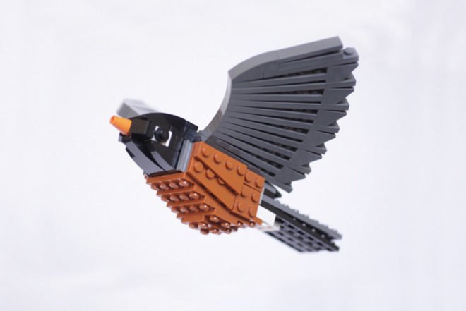 Thomas Poulsom, LEGO, birds, lego birds, bricks, art, toys