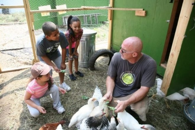 Nyc farming, Brooklyn, Brooklyn farms, new york restoration project, greenpoint, nyc chickens, nyc chicken coops, Brooklyn chicken coops, urban farming, urban agriculture, Brooklyn chicken farms