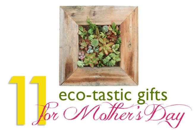 11 eco-tastic gifts for mother's day, Mother's Day, green gifts, green holidays, green gift guide, lotions, eco-gifts, sustainable gifts, fair trade gifts, natural materials, eco-jewelry, upcycled gifts, recycled gifts, recycled materials, handmade gifts, Novica, VivaTerra, Indigenous, South America, Trinity Wooden Cuff, Succulent Wall Planter Kit, Airplane Wrap, Recycled Glass Balloon Vase, Buddha Belly Tea Kettle, Diamond Hobo Bag, Chrysocolla Cocktail "Hug" Ring, Forest Pool Necklace, Organic Aromatherapy Body Soap, organic soap, organic lotions, organic ingredients, Redwood Forest bonsai kit, Orchid-infused lotion, Piper Tate