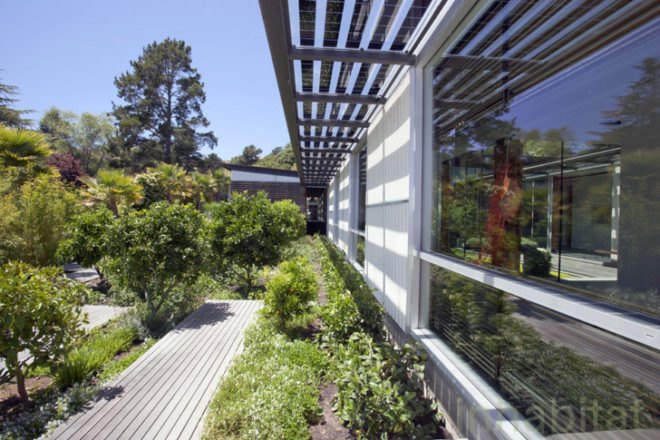 Andrea Ponsi, House on the Bay, Tiburon, San Francisco, net-zero house, solar power