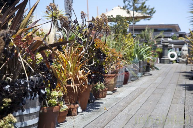 David Spurgeon, Sausalito, houseboat, Liberty Dock, Marin Home Tours, Marin County