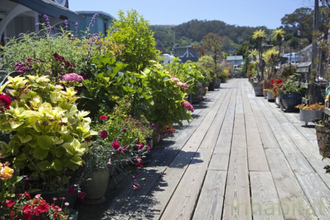 David Spurgeon, Sausalito, houseboat, Liberty Dock, Marin Home Tours, Marin County